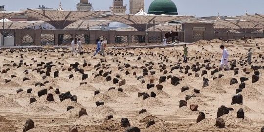 Baqi