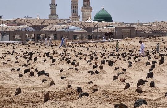 Baqi